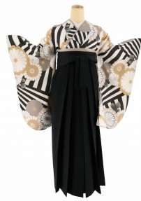 卒業式着物[レトロモダン]白に黒の斜めストライプ・グレーベージュの菊柄No.799